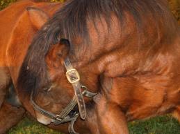 Colic